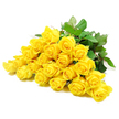 YELLOW ROSES 2